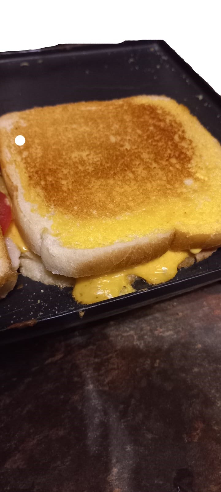Toasted sarmie with melted cheese.